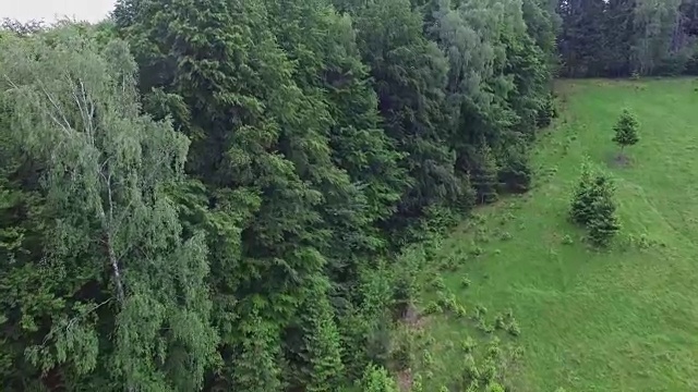 绿色的森林和山脉映衬着蓝天，cam fly视频素材