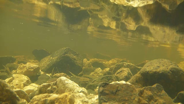 鹅卵石水下视频素材