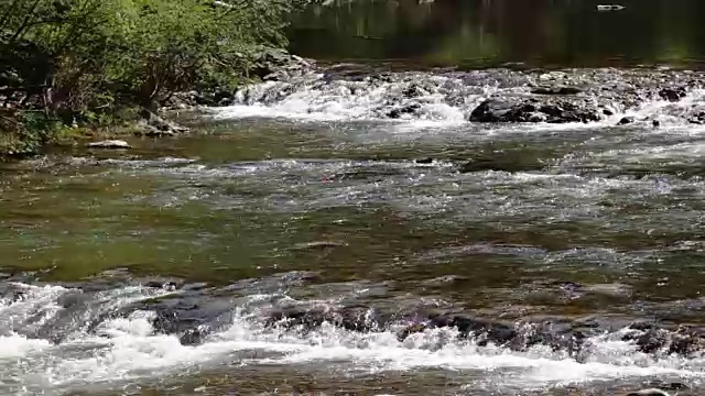 小山河瀑布在森林中流动的景观，近距离观看视频素材