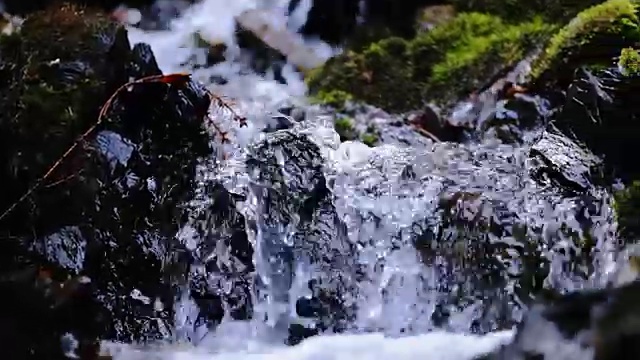 在春天或夏天，近距离接触森林中纯净的新鲜水流。视频素材