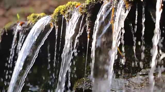 泉水清澈见底，山涧近在咫尺视频素材