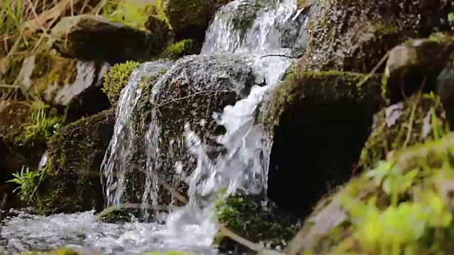 纯净的淡水瀑布在森林与石头和岩石覆盖苔藓视频素材