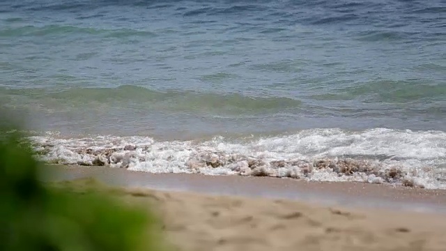 夏威夷毛伊岛的海滩波浪视频素材