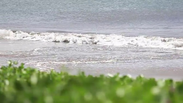 毛伊岛，夏威夷，海洋，海滩海浪视频素材