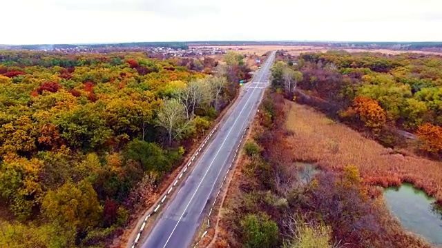 鸟瞰图的道路通过秋天的森林。视频素材