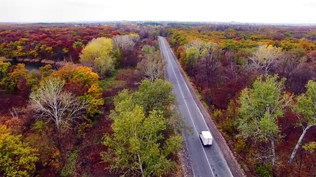 鸟瞰图的道路通过秋天的森林。视频素材