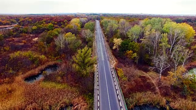 鸟瞰图的道路通过秋天的森林。视频素材