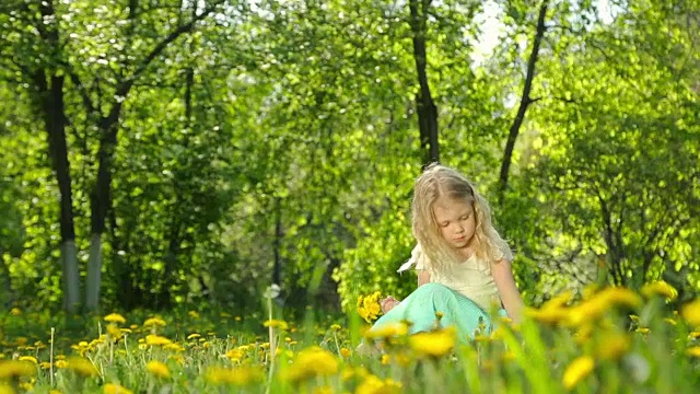 小女孩在阳光明媚的草地上采摘蒲公英。视频素材