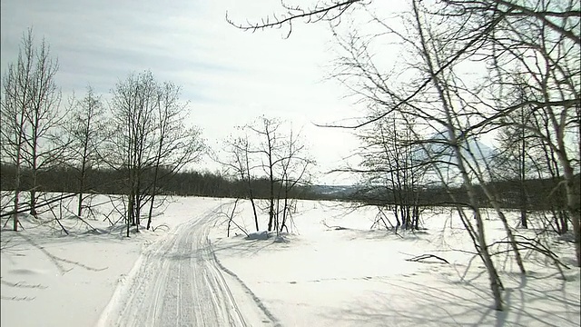 狗雪橇在雪地上飞驰视频素材