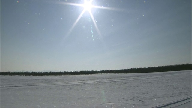 雪地和背光的太阳视频素材