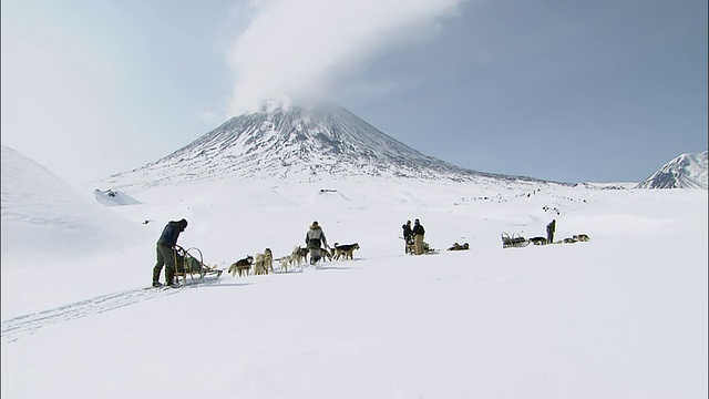 狗雪橇的纵队休息视频素材