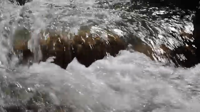 山间河流的急流视频下载