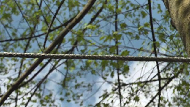 双脚在钢索上移动。大特写镜头视频素材