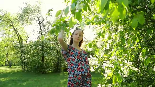 年轻诱人的女孩长头发，在森林日落摆姿势。视频素材