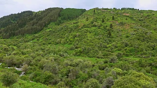 美丽的高地山谷和山涧全高清拍摄视频素材