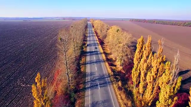 鸟瞰图的郊区道路与秋天的树木在边缘视频素材