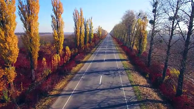 鸟瞰图的郊区道路与秋天的树木在边缘视频素材