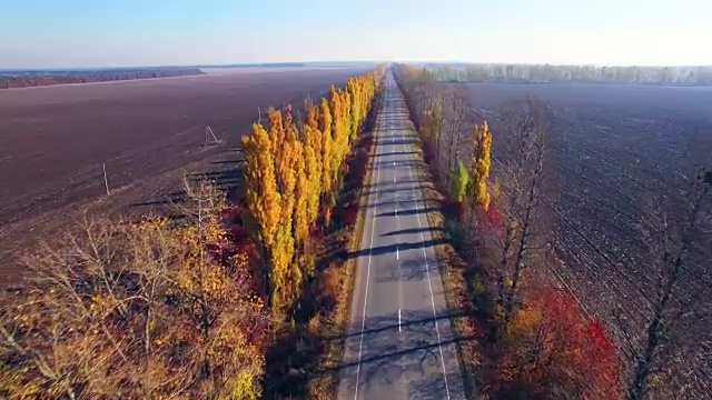 鸟瞰图的郊区道路与秋天的树木在边缘视频素材