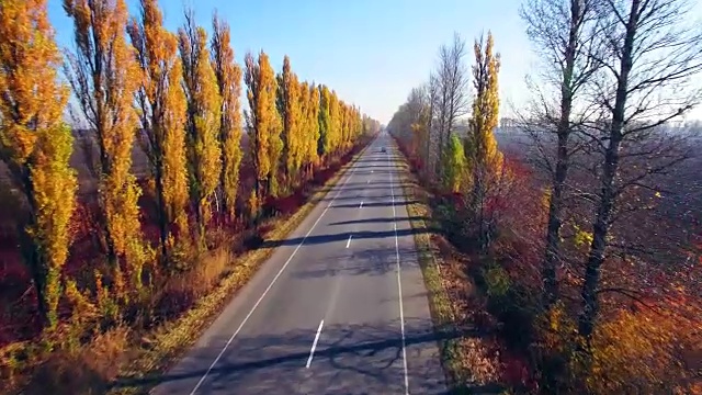 鸟瞰图的郊区道路与秋天的树木在边缘视频素材