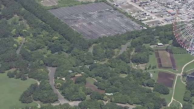 航空，葛西林海公园，江户川，东京视频素材