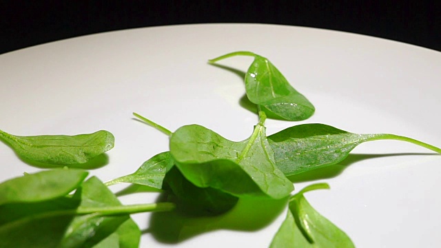 绿叶飘落的菠菜，慢动作视频视频素材