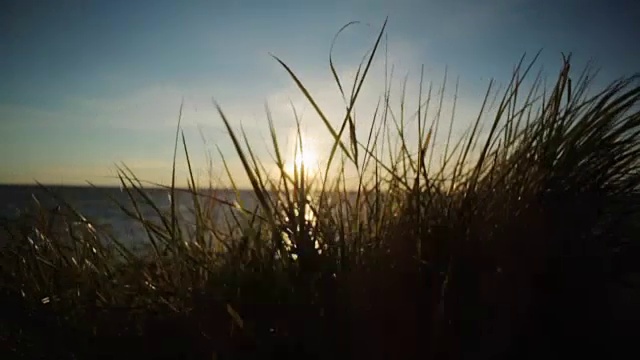 山上的绿草随风摇动。美丽的海面夕阳背景。近距离视频素材