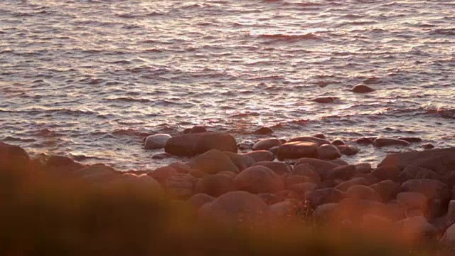 山上的草因风而摇动。海水在阳光下的背景。没有人视频素材