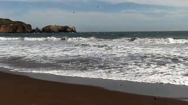 海浪上的沙滩与鸟类飞行马林加州视频素材