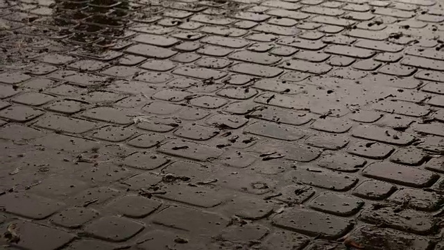 雨滴落在水坑里视频素材