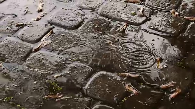 雨滴落在水坑里视频素材