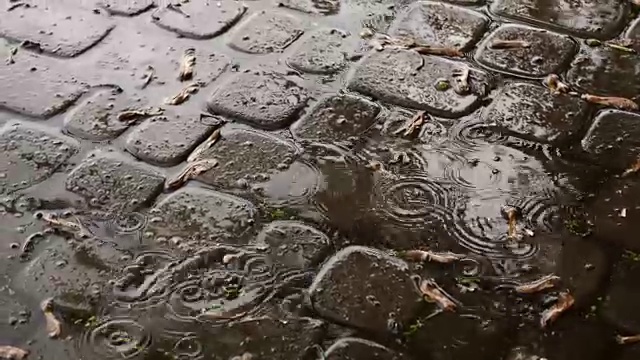 雨滴落在水坑里视频素材