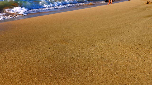 热带沙滩上的太阳眼镜和贝壳被海浪冲走视频素材