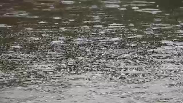 雨滴在水面上盘旋视频素材