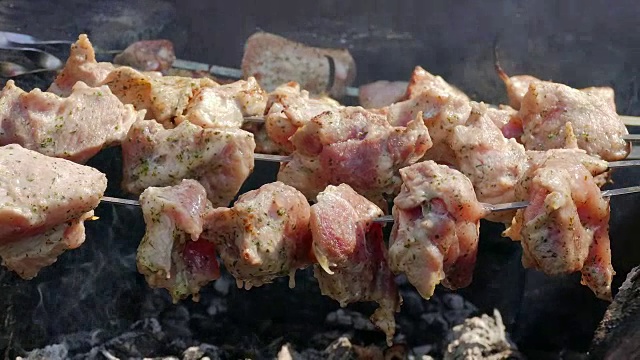 肉类食物在火上烹饪烧烤野餐视频素材