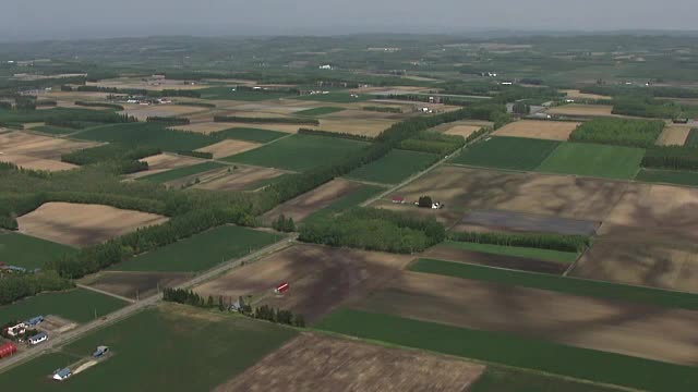 空中，日本北海道十胜农业区视频素材