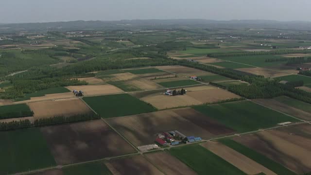 空中，日本北海道十胜农业区视频素材