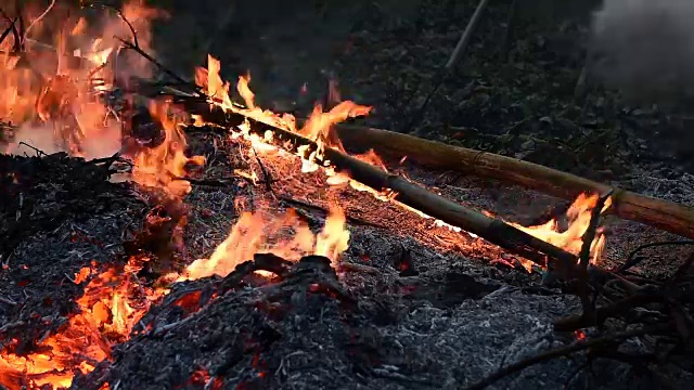 炽热的火焰的特写视频素材