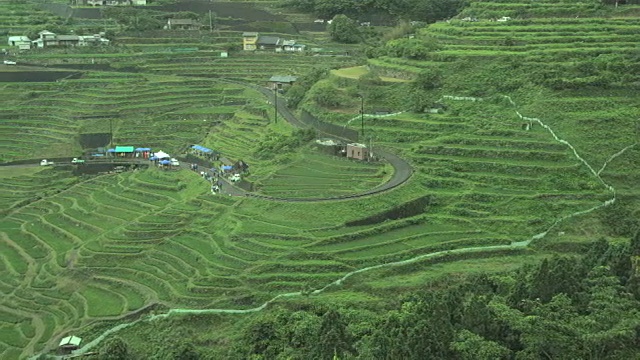 LS;公顷;丸山仙maida梯田视频素材