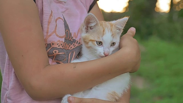 黑发女孩抱着小猫在她的猫怀里爱少年户外视频素材