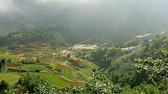 越南北部的梯田视频素材