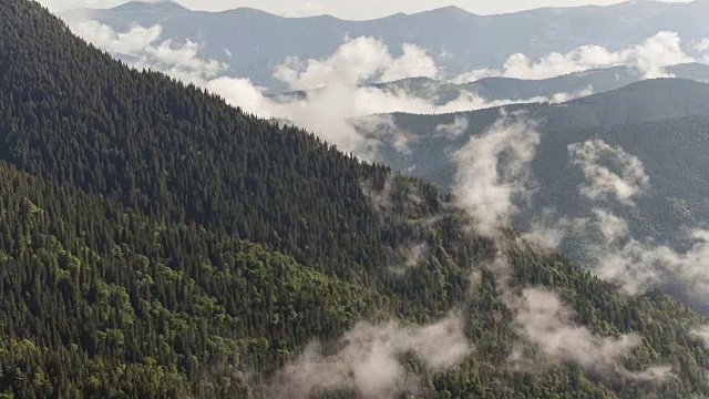 山地森林被雾覆盖的风景视频素材