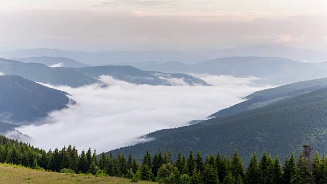 山地森林被雾覆盖的风景视频素材