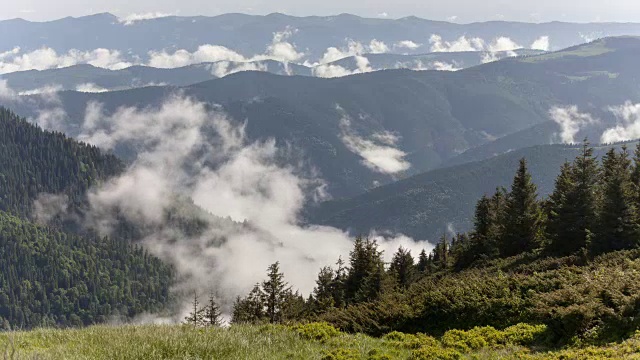 山地森林被雾覆盖的风景视频素材