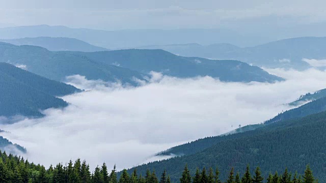 山地森林被雾覆盖的风景视频素材