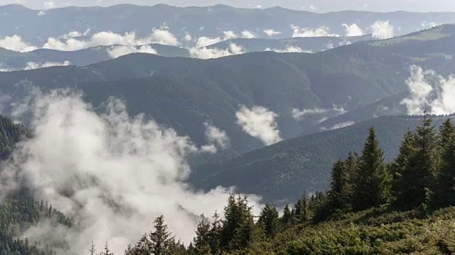 山地森林被雾覆盖的风景视频素材