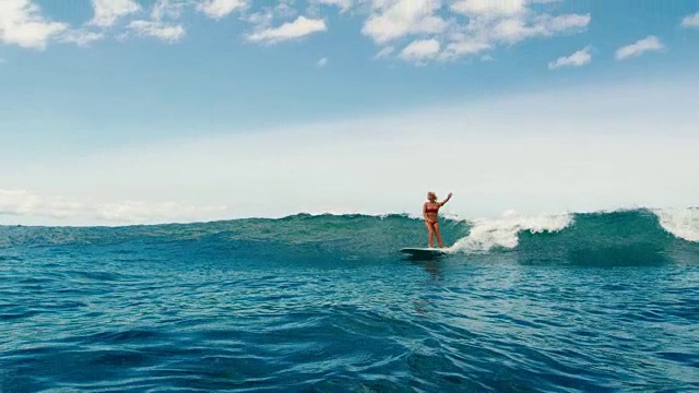 美丽的女孩冲浪蓝色的海浪视频素材