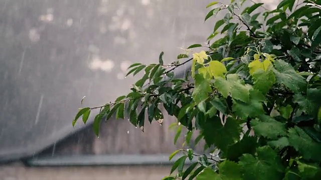 落在屋顶上的雨水。视频下载