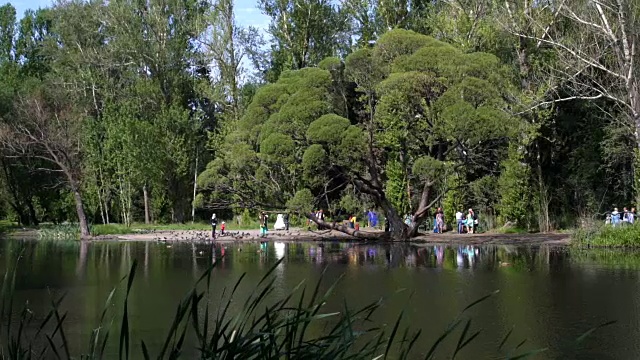 欣赏夏日午后的城市公园景观视频素材