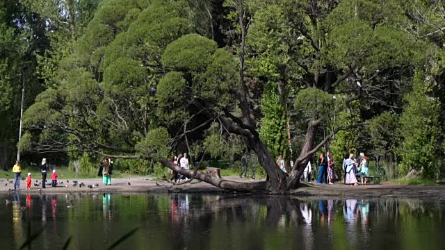 欣赏夏日午后的城市公园景观视频素材