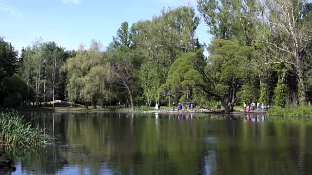 欣赏夏日午后的城市公园景观视频素材